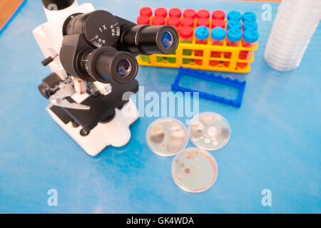 Scientifici microscopio binoculare e capsule di petri Foto Stock