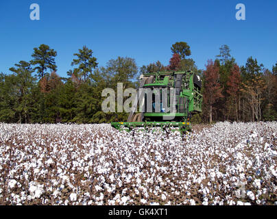 Industria Agricoltura Agricoltura Foto Stock