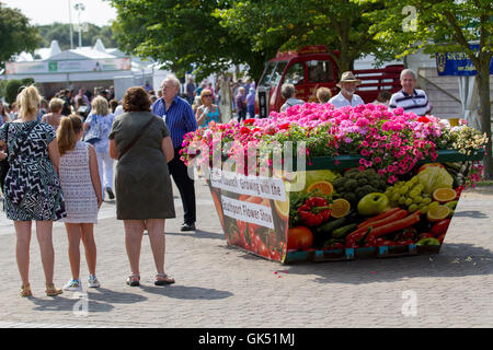 Un insolito scala grande piantagione di fiori d'estate, con gerani a copertura di un metallo blu costruttori saltare, Southport, Regno Unito Foto Stock