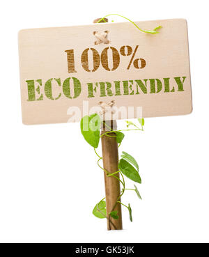 Foglia ambiente eco Foto Stock