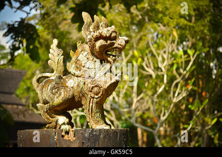 Lion custode decorazioni scolpite Foto Stock