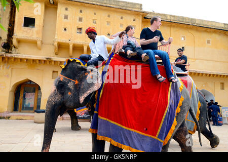 I turisti stranieri a cavallo di elefante al Forte Amber, Jaipur, Rajasthan, India Foto Stock