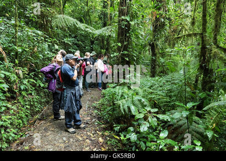 I turisti del Costa Rica; Un gruppo di giro nella foresta nuvolosa di Monteverde, l'America centrale del Costa Rica Foto Stock