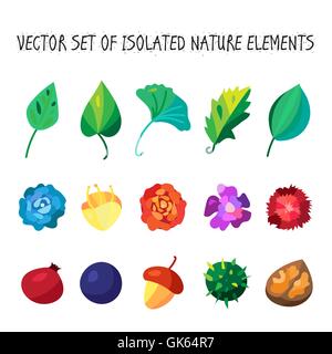 Vintage fiori, frutti e foglie raccolta di icone. Vettore Illustrazione Vettoriale