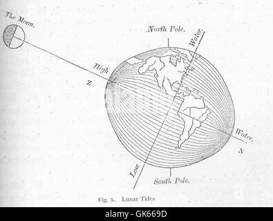 Le maree lunari sono i movimenti di marea causati dall'attrazione gravitazionale della luna. Queste maree influenzano gli ecosistemi costieri e sono un fattore importante nella navigazione marina e nelle dinamiche degli ecosistemi. Foto Stock