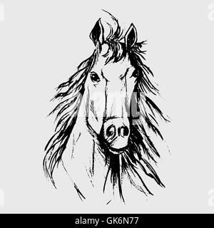 Horse scetch dalle matite di colore nero in eps Illustrazione Vettoriale