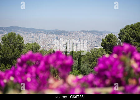 Vista della città di Barcellona dalla parte superiore di Montjuic Foto Stock