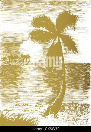 Vettore estate tropicale illustrazione con Palm tree e isole Illustrazione Vettoriale