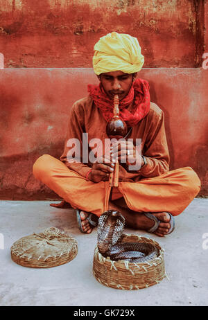 Il serpente incantatore con cobra, (Naja naja), Rajasthan, India Foto Stock