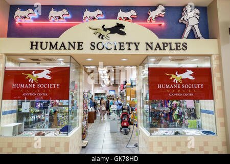 Naples Florida,Coastland Center Shopping Mall,centro commerciale,shopping shopper shopping shopping shop negozi mercati di mercato acquisti di mercato di vendita, Retail st Foto Stock