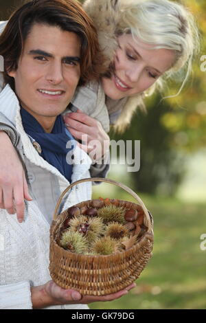 Cestello setole di castagne Foto Stock