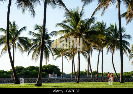 Miami Beach Florida, South Beach, Ocean Drive, Lummus Park, spiaggia, parco urbano, passeggiata pedonale, Promenade, palme da cocco, Serpentine Way, adul Foto Stock