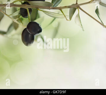 Modello Progetto di design Foto Stock