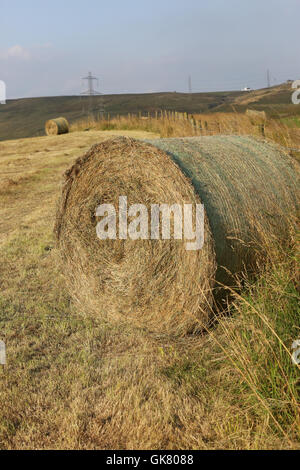 Littleborough, Regno Unito. Il 18 agosto, 2016. Regno Unito Meteo: una famiglia di agricoltori lavorano nella sera per fare il fieno mentre il sole risplende. Nella foto: fieno che sono state raccolte nei terreni agricoli Littleborough, 18 Agosto, 2016 Credit: Barbara Cook/Alamy Live News Foto Stock