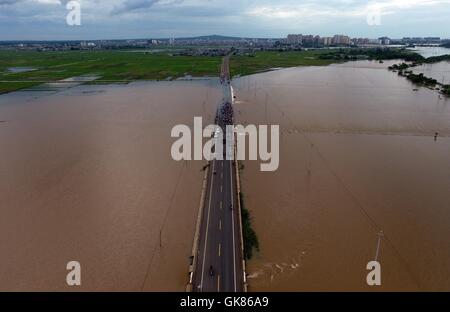 Lingao. 19 Ago, 2016. Foto realizzata il 19 agosto, 2016 mostra i campi allagati in Lingao County, Cina del sud della provincia dell'isola di Hainan. Una pioggia torrenziale che ha colpito l isola da ago. 14 a 19, come questo anno ottavo del tifone Dianmu sbarcati nel sud della Cina di Guangdong, che colpiscono più di 670.000 persone. Credito: Yang Guanyu/Xinhua/Alamy Live News Foto Stock