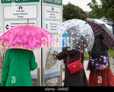Mappa e showground direzioni a Southport, Merseyside, UK Meteo. Agosto, 2016 downpoours pesanti sulla folla di Flower Show il 2 ° giorno del 48 ° stravaganza floreale annuale. Nonostante i venti in aumento e le condizioni blustery i possessori di biglietti hanno continuato a godere lo spettacolo e l'intrattenimento nonostante una previsione per i venti di forza di tempesta più tardi nel giorno. Credit: MediaWorldImages/Alamy Live News Foto Stock