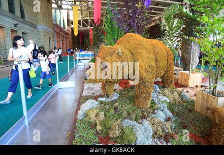 (160819)-- TORONTO, 19 Agosto, 2016(Xinhua) -- I visitatori osservano un ben progettato il giardino al 2016 Canadian National Exhibition a Toronto, Canada, 19 Agosto, 2016. Come una delle più grandi mostre in Canada, questo annuale 18-evento della durata di un giorno che ha dato dei calci a fuori il venerdì è atteso per attirare più di un milione di visitatori provenienti da tutto il mondo. (Xinhua/Zou Zheng) Foto Stock