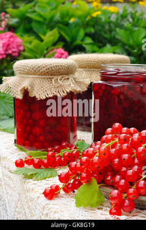 Confettura di ribes berry Foto Stock