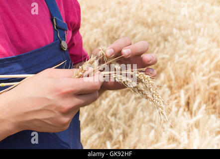 Giovane agricoltore in campi di grano Foto Stock