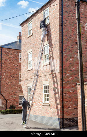 Un uomo su una scala alta verniciatura di una casa sul telaio di una finestra con una persona il supporto nella parte inferiore, England, Regno Unito Foto Stock