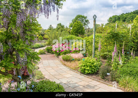 All'interno del giardino murato presso il Giardino Botanico nazionale del Galles, vicino a Carmarthen, Wales, Regno Unito Foto Stock