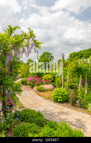 All'interno del giardino murato presso il National Botanic Garden of Wales, vicino a Carmarthen, Wales, Regno Unito Foto Stock