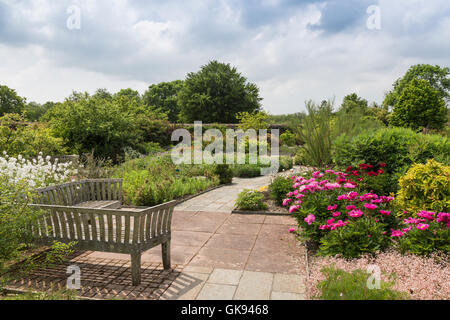 All'interno del giardino murato presso il National Botanic Garden of Wales, vicino a Carmarthen, Wales, Regno Unito Foto Stock