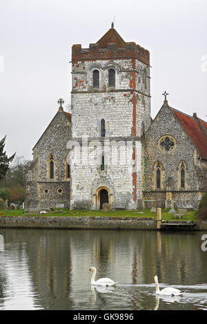 Cigni passando Bisham chiesa sul Fiume Tamigi in dollari Foto Stock