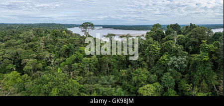 Vista panoramica della foresta di pioggia tettoia e Rio Napo in Amazzoni. Yasuni National Park, Ecuador, Sud America. Foto Stock