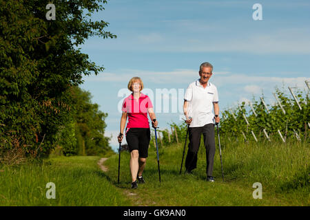 Felice coppia senior nordic walking in estate Foto Stock