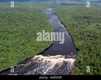 Tropical amazon river Foto Stock