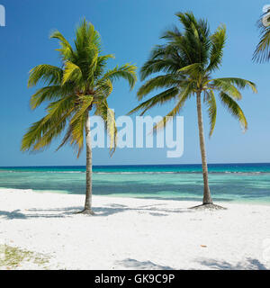 Cuba Viaggi Natura Foto Stock