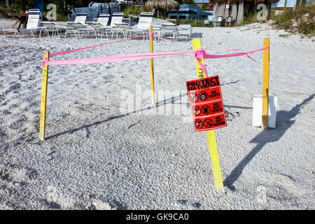 Florida Gulf Coast,Anna Maria Island,Bradenton Beach,spiaggia,sabbia,nido delle tartarughe marine,conservazione delle specie,habitat,area protetta,FL160630160 Foto Stock