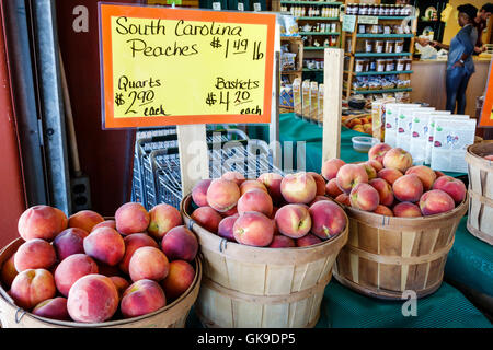 Florida,Sud,Sarasota,Pinecraft Pine Craft,Amish Neighborhood,Bahia Vista Avenue,Yoder's Fresh Market,shopping shopper shopping shoppers shop shops market mar Foto Stock