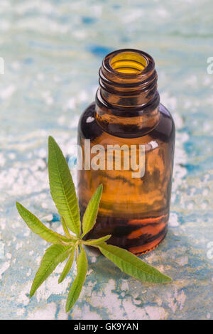 Il limone di vervain verbena olio essenziale naturopatia Foto Stock