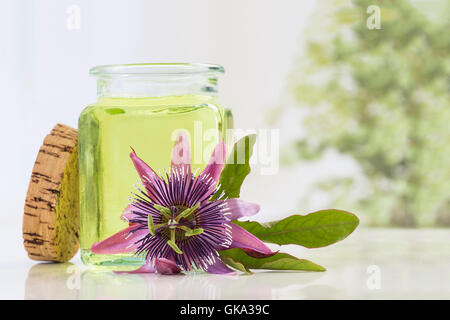 Fiore della passione aromaterapia olio essenziale Foto Stock