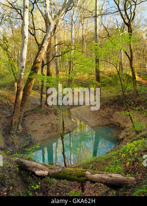 Echo molla di fiume, Echo River Trail a molla, il Parco nazionale di Mammoth Cave, Park City, Kentucky, Stati Uniti d'America Foto Stock