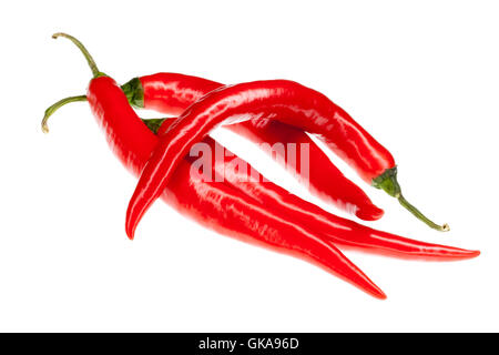 Rosso peperoncino fresco peperoni isolato Foto Stock