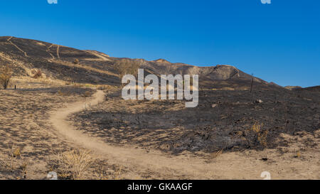 Avvolgimento sentiero conduce attraverso il deserto bruciato dopo wildfire nella California meridionale. Foto Stock