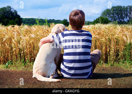 Ragazzo con labrador retriever in cornfield anteriore Foto Stock