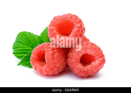 Chiudere alcune diverse Foto Stock