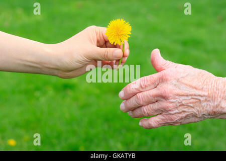 Donna mani mano Foto Stock