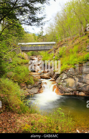 Sentinel ponte di pino e piscina, Franconia Notch State Park, Franconia Notch, New Hampshire, STATI UNITI D'AMERICA Foto Stock