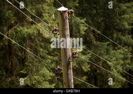 Legno polo di elettricità Foto Stock