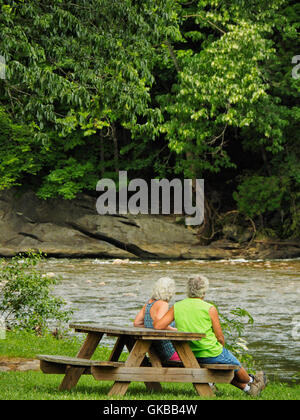 Holston River, vecchia stazione Alvarado, Virginia Sentiero del superriduttore, Damasco, Virginia, Stati Uniti d'America Foto Stock