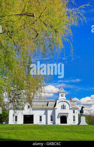 UVM Morgan Horse Farm, Middlebury, Vermont Foto Stock