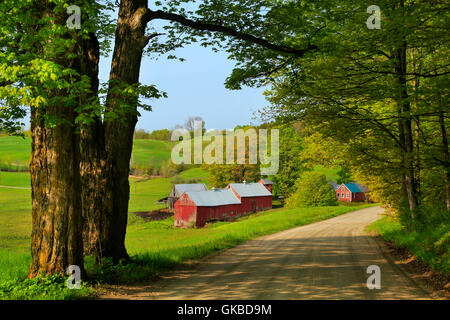 Jenne Farm in primavera, South Woodstock, Vermont Foto Stock