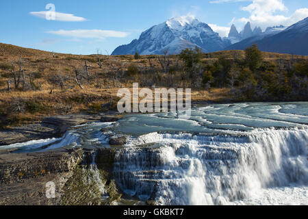 La cascata "Cascada Paine' sul Fiume Paine nel Parco Nazionale Torres del Paine nella regione di Magallanes del sud del Cile. Foto Stock