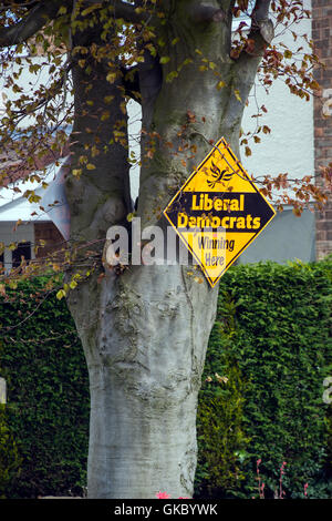 Campagna elettorale segno attaccato al tronco di albero Foto Stock