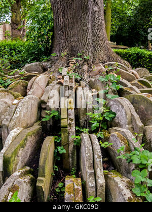 La struttura hardy, St Pancras vecchia chiesa, Londra Foto Stock